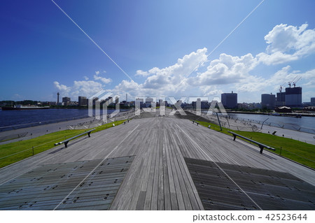 Whale's back (Oshi Bridge) Whale's back (Oshi Bridge) 42523644