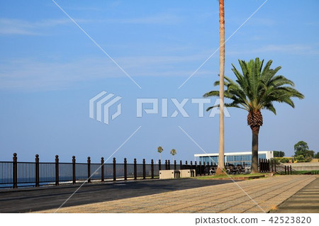 Tanoura Kaihin Park Tanoura Kaihin Park 42523820