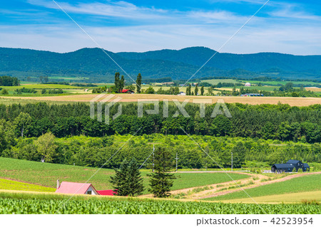 "Hokkaido" Hill of Biei · House with red roof and countryside scenery "Hokkaido" Hill of Biei · House with red roof and countryside scenery 42523954