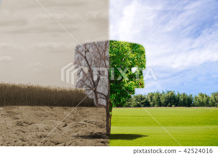 Ecology concept human hands holding big plant face 42524016