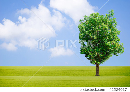 Ecology concept human hands holding big plant face 42524017