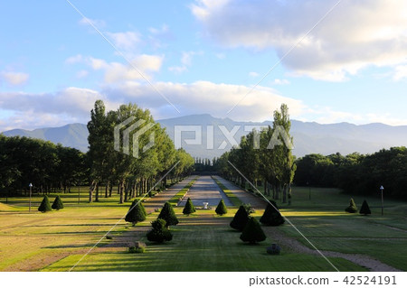 Mt. Tanayama seen from Maeda Forest Park in the evening 42524191