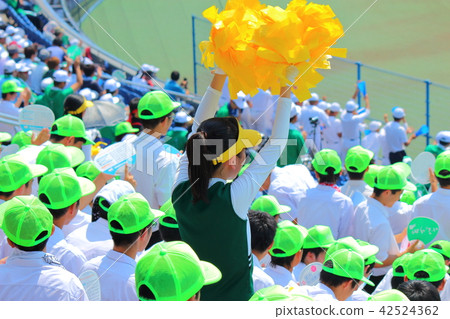 Baseball cheering Baseball cheering 42524362