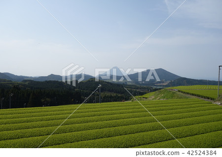 Kamiakudake Ikeda Lake Kanemonake Travel Ibusuki South Mini九州雲 Kamiakudake Ikeda Lake Kanemonake Travel Ibusuki South Mini九州雲 42524384