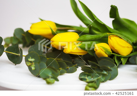 beautiful yellow tulips with eucalyptus branches on a white table beautiful yellow tulips with eucalyptus branches on a white table 42525161