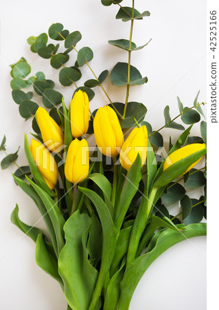 beautiful yellow tulips with eucalyptus branches on a white table beautiful yellow tulips with eucalyptus branches on a white table 42525166