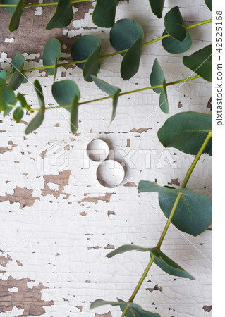two wedding rings on a white table with old eucalyptus branches two wedding rings on a white table with old eucalyptus branches 42525168