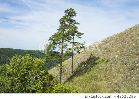 Strelnaya Mountain. Attraction of the Samara region Strelnaya Mountain. Attraction of the Samara region 42525289