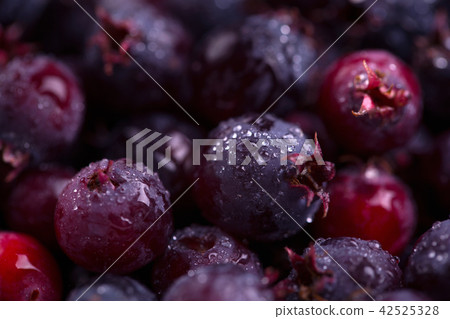 Fresh shadberry close-up.  42525328