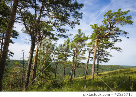 Strelnaya Mountain. Attraction of the Samara region 42525713