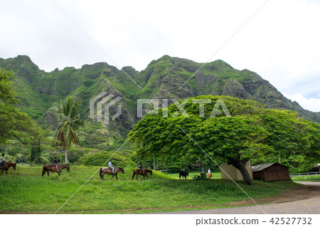夏威夷瓦胡島古蘭尼牧場騎馬之旅 42527732