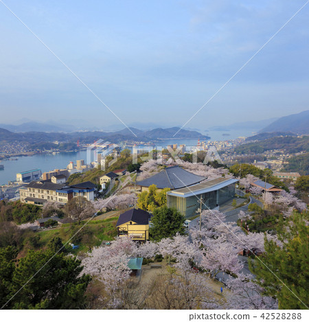 Senkoji Park (From Senkoji Park Observatory) 42528288