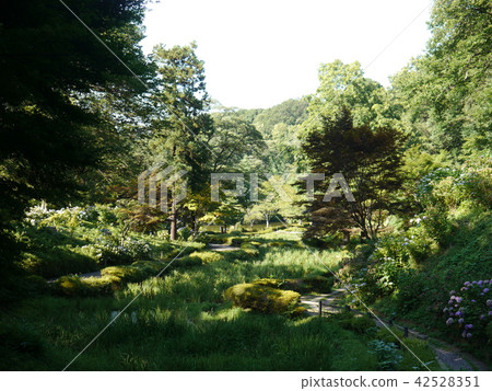 Yakushoike Park 42528351