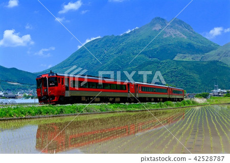 Spring in Kyushu 42528787