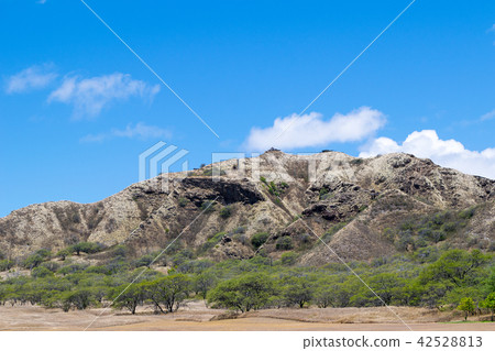 Hawaii Oahu State Memorial Park Diamond Head · Crater 42528813