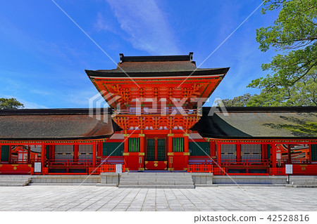 [Usa Jingu] (High Resolution Version) Usa City Usagi Oita Prefecture Minami Uza 2859 42528816
