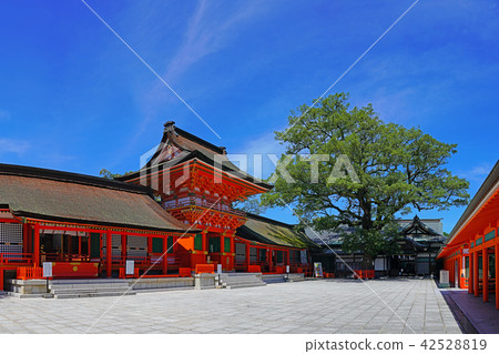 [Usa Jingu] (High Resolution Version) Usa City Usagi Oita Prefecture Minami Uza 2859 42528819