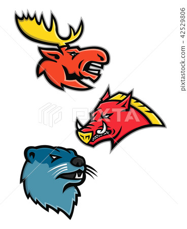 North American wildlife Sports Mascot Collection North American wildlife Sports Mascot Collection 42529806