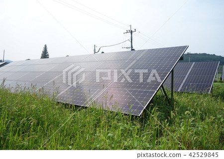 Solar power plant surrounded by weeds 42529845
