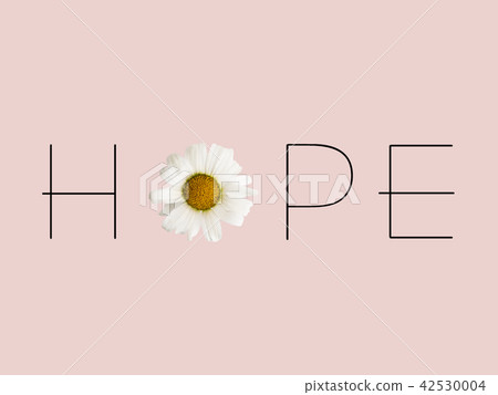 信件由花製成 - 希望 42530004