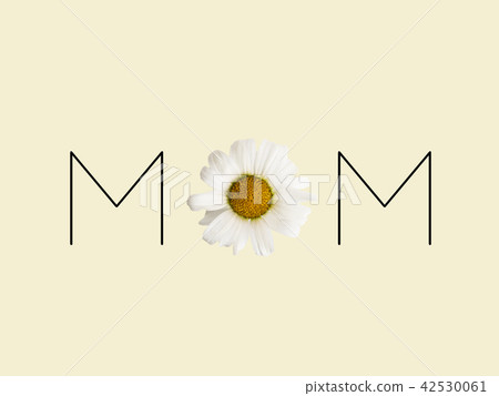 信件由花製成 - 媽媽2 信件由花製成 - 媽媽2 42530061