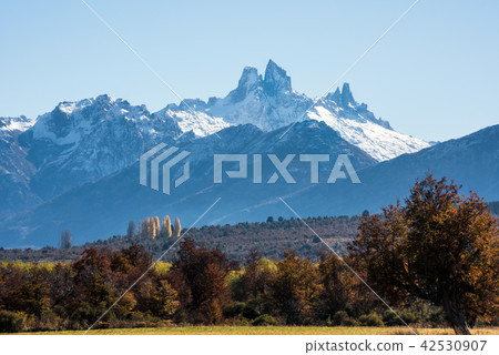 National Park Los Alerces, Chubut, Patagonia 42530907