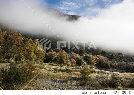 Early morning autumn National Park Los Alerces 42530908