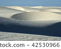 Lencois Maranhenses National Park, Barreirinhas 42530966