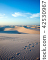 Lencois Maranhenses National Park, Barreirinhas 42530967