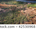 View from an airplane to a landing of cashew  42530968