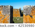 San Miguel fort in Rocha province, near brasilia 42530980