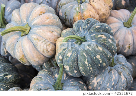 一堆南瓜 42531672