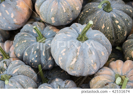 一堆南瓜 一堆南瓜 42531674