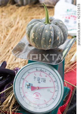 一堆南瓜 一堆南瓜 42531678