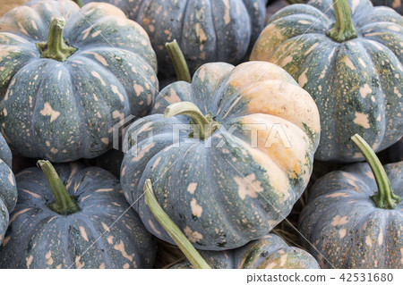 一堆南瓜 42531680