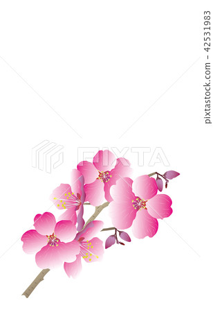 Prefectural flower: Tochigi yashio azalea 42531983