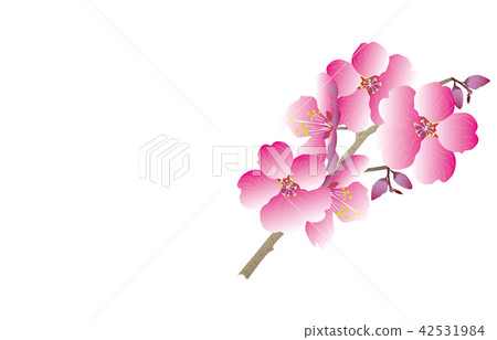 Prefectural flower: Tochigi yashio azalea 42531984