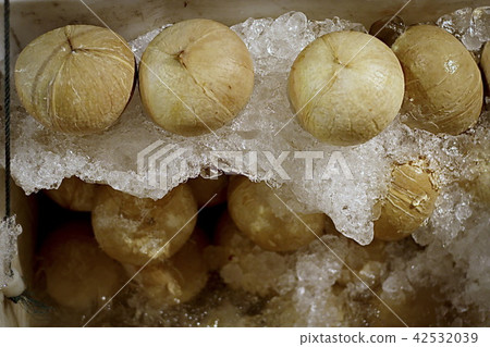 Fresh Coconut and Coconut Juice in Ice Bucket. 42532039