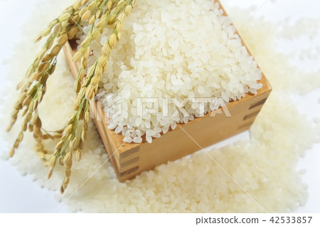 White rice 42533857
