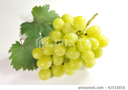 Grape Shine Muscat 42533858