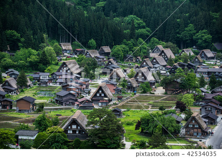 白川鄉合掌村 白川鄉合掌村 42534035