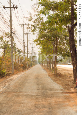 Nature green trees with rural road bike  42534155