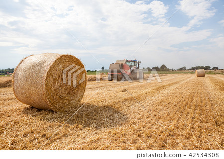 An hay bale An hay bale 42534308