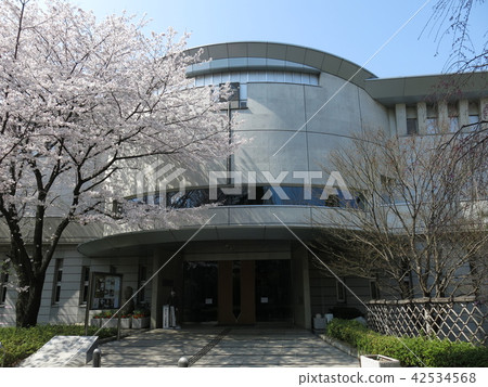 Shibusawa Historical Museum in spring of cherry blossoms Shibusawa Historical Museum in spring of cherry blossoms 42534568