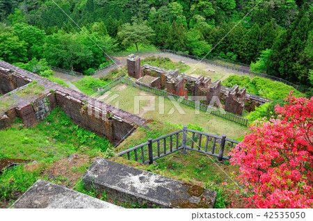 Azalea of Besshi Copper Mountain Trace Azalea of Besshi Copper Mountain Trace 42535050