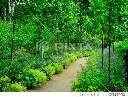 The snowfall forest garden The snowfall forest garden 42535060