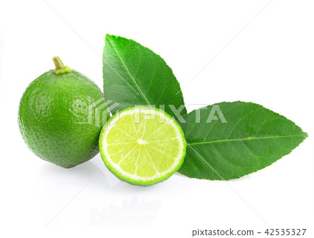 Fresh lime leaf on white background Fresh lime leaf on white background 42535327