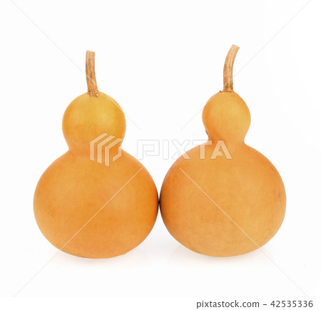 Calabash dry on white background 42535336
