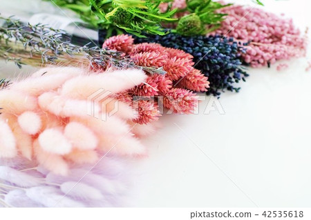 乾花 乾花 42535618