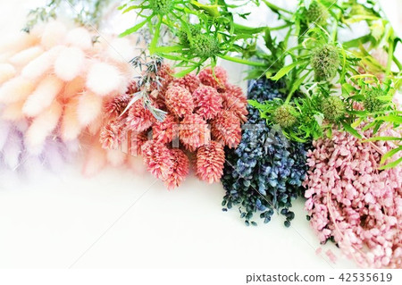 乾花 乾花 42535619